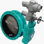 Dn200 Pn16 Ductile Cast Iron Di Hand Operated Double Flanged Butterfly Valve