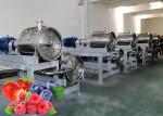 Customized Industrial Blueberry Jam Processing Machine For Blueberry Product