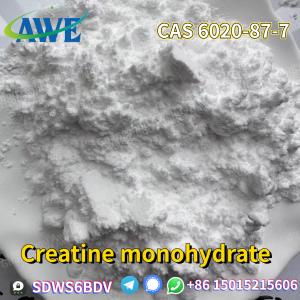 China High quality creatine monohydrate for food and cosmetics CAS 6020-87-7 in Stock on sale