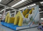 Snow Mountain Big Inflatable Water Slides , Amusement Park Commercial Grade