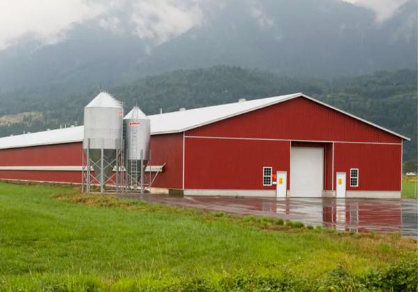 Customized Exterior Wall Colors Agricultural Buildings And Structures Sustainabl