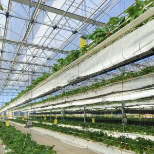 Wholesale 100.000kg Package Gross Weight Glass Greenhouse for Hydroponic Flower Cultivation from china suppliers
