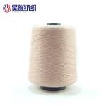 2/48NM Wool Nylon Sock Yarn Anti Pilling Core Spun Pbt Knitting Viscose Nylon