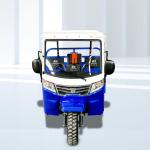 5.0-12 Tire Size DAYANG Heavy Duty Petrol Cargo Cabin Motor Tricycle for Global
