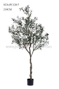 Wholesale Non Toxic Faux Potted Olive Tree , Faux Olive Tree In Pot Mediterranean Vibe from china suppliers