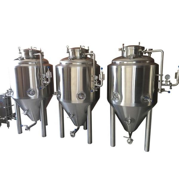 300lt Microbrewery Equipment Stainless Steel Fermentation Tank for Beer and