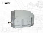 50Hz Squirrel Cage Motor with 100mm Shaft for Continuous 3000RPM Operation