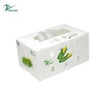 Broccoli Corflute Storage Boxes Honeycomb Corrugated Box For Fruits