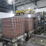Canned Meat Processing Lines Sardines Corned Beef Pork Canning Production