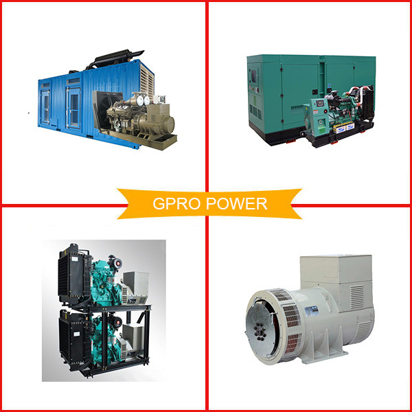 Super Silent Power By Raywin Engine 30kva Three Phase Quiet Generator Set