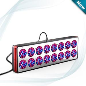 Wholesale Apollo 16 720w LED grow lights for high plant veg and flower ,full spectrum led grow light from china suppliers
