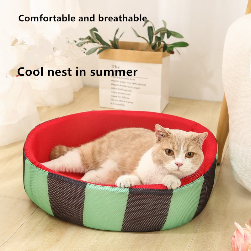 watermelon dog bed