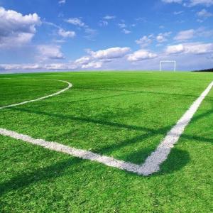 China Football Field Synthetic Artificial Grass Anti UV For Landscaping Decoration OEM ODM on sale