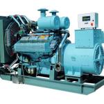 Electric Start Biogas Generator Equipment Customized Power Output