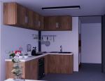 2 Bedrooms Prefabricated Tiny Home Made of Steel Material for Modern Design
