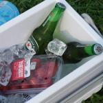 360*240*250mm Cooler Box with Ice Packs 8L Capacity for Outdoor Adventures