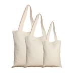 Raw Gym Zip Canvas 13x14" Organic Cotton Tote Folding Bag