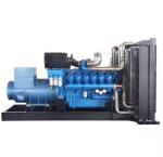 850kVA 680KW High Load Capacity Best Prices LPG Generator Generator Natural Gas