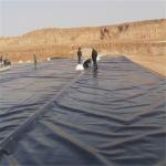 1.5mm 2mm Impermeable Plastic Film Fish Pond Liner for Farmhouse Onsite