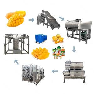 Wholesale Automatic Mango Processing Line 100T/D SUS316 from china suppliers