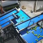 Intelligent 6 Lanes Lemons Sorting Grading Machine Stainless Steel Material 380V