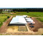 Metal Building Steel Structure Customized For Cattle Cow Shed / Sheep Shed /