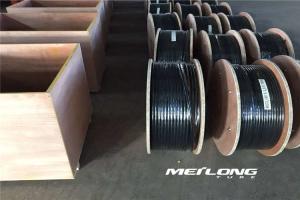 Wholesale UNS S31603 Capillary Coiled Tubing Thermoplastic Encapsulation Material from china suppliers