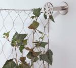 7x19 Stainless Steel Wire Rope Mesh For Green Plant Climbing Trellis wire Mesh