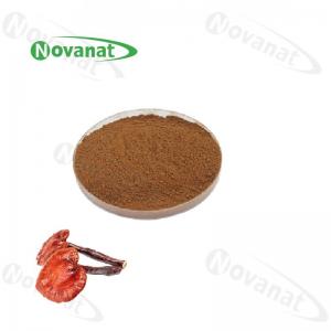 Wholesale Allergen Free Ganoderma Lucidum Extract Powder / Reishi Mushroom Extract 10%-50% Polysaccharides from china suppliers