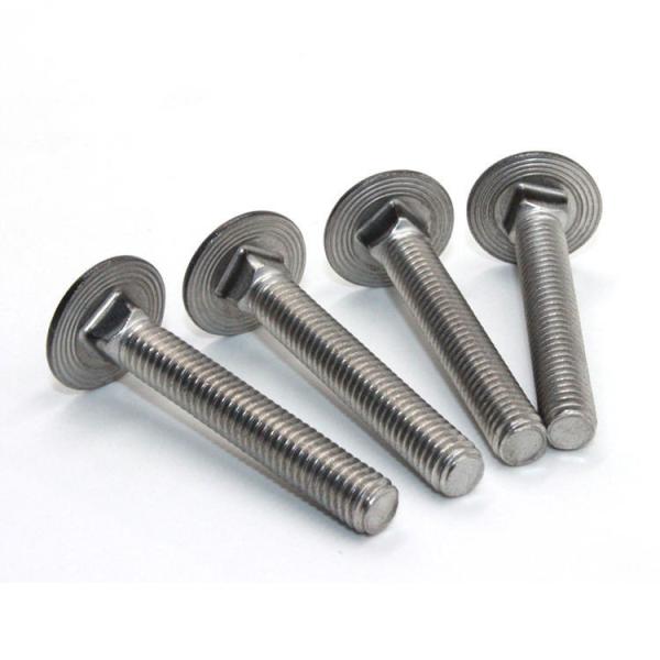 DIN 603 Galvanized Stainless Steel 304 Lock Bolts Nuts M8 Size Mushroom Head