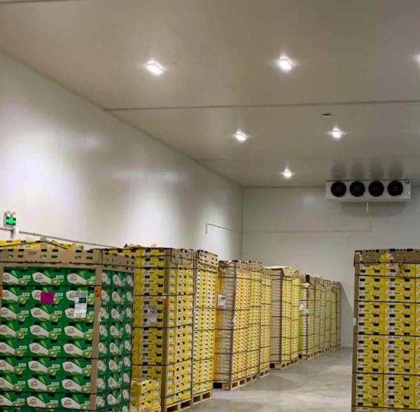 Customizable Cold Room PU Panel High Compressive Strength 200kpa and Length