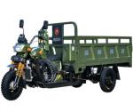 Adult 250cc Cargo Tricycle
