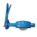 Model NO. D71X-16Q Ductile Iron Butterfly Valve for Industrial Lever Application