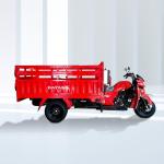 Motorized 200cc Petrol Passenger Tricycle with Super Galaxy Design in South