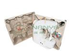 800Pcs/H Semi-auto Reciprocating Forming Waste Paper Egg Tray Equipment