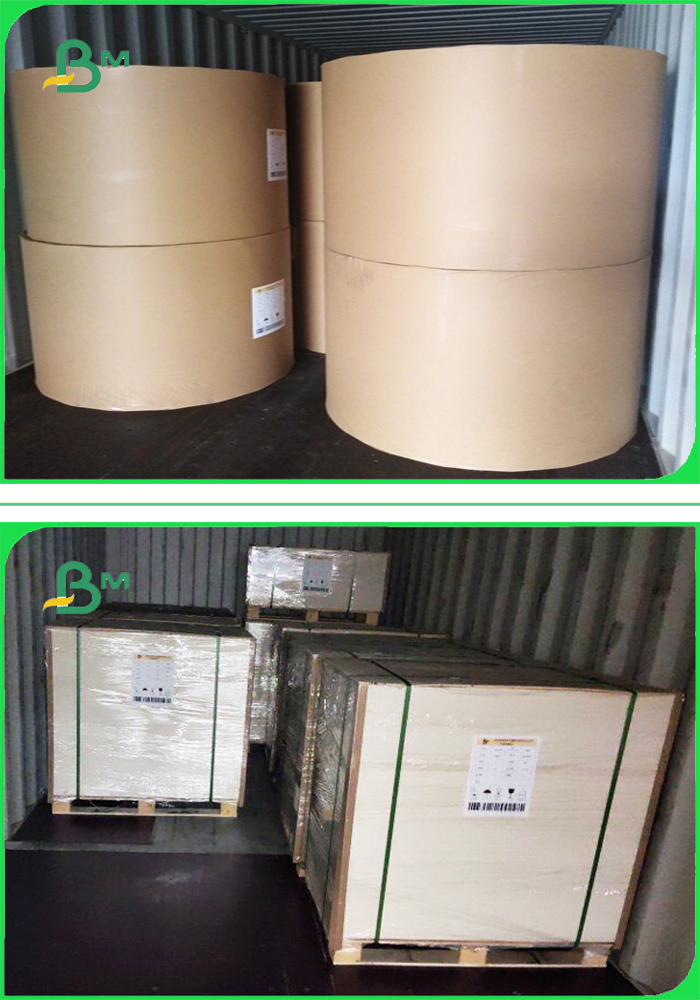 250gsm to 400gsm Duplex Board One Side Grey Good Stiffiness In Jumbo Reels