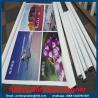 Buy cheap 440 G Matte Vinyl Banners with Grommets from wholesalers
