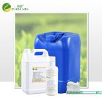 Factory Direct Supply Fresh Green Tea Natural Flavor Food Grade For Toothpaste