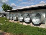 Metal Poultry Ventilation System, Wall Exhaust Fans With Louvers , 24 Inch