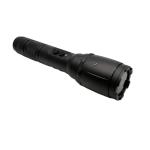 Powerful 850mW DPSS Green Laser Flashlight for Dazzling in Printing Shops