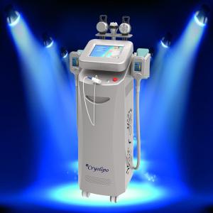 Wholesale 2014 Best cryolipolysis for beauty salon use / cryolipolysis rf slimming from china suppliers