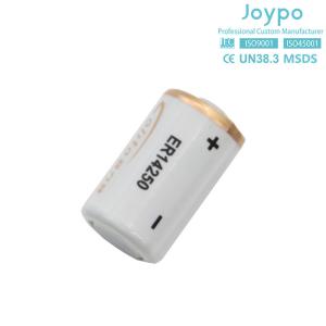 Wholesale Disposable ER14250 Lithium Battery 3.6V 1.2Ah Lithium Cell For Electricity Meter from china suppliers