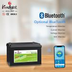 100ah 12V LiFePO4 Battery Lithium Pack For Home Appliances Use