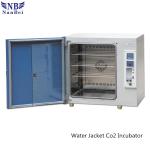 80L Bacteria Laboratory Thermostat Ivf Small Electric Water Jacket Co2 Incubator