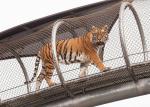 304 316 316L Stainless Steel Animal Enclosure Mesh Netting Aviary Zoo Mesh Fence