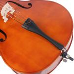 High Quality Handmade Advanced Cello Musical Instrument Supplier (DC-101) The