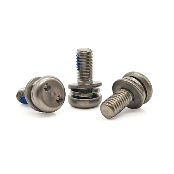 Stainless Steel Snake-Eye Security Screw – Double Spring & Flat Washers with