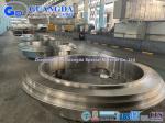 Alloy Steel Forging Forged Flanges Professional Steel Forging Factory From China