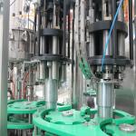 5000BPH 8000BPH Beer Filling Machine Glass Bottle Washing Filling Capping