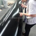 Outdoor Black Polyethylene Geomembrane for Biogas Digesters 2mm HDPE Fish Farm